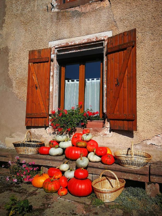 La Maison Du Vannier Raon-les-Leau Exterior photo